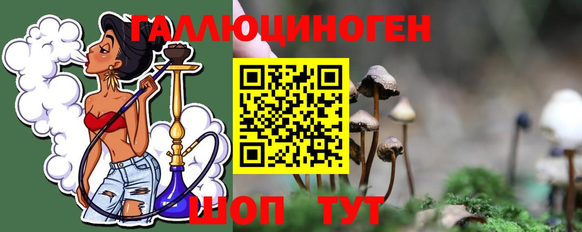 купить наркотики цена  Псилоцибиновые грибы Psilocybine cubensis  Вход с VPN  Донской 